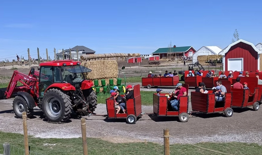 calgary attractions calgary attractions