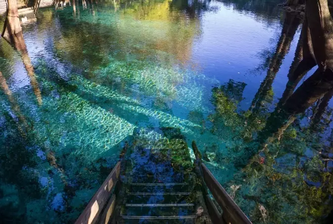 things to do in florida things to do in florida