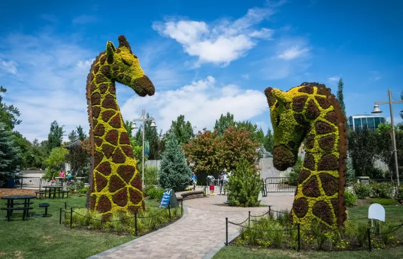 visit calgary visit calgary