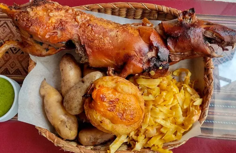 guinea pig peru food guinea pig peru food