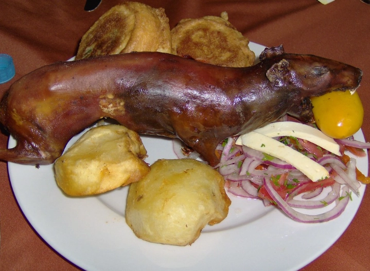 peruvian cuy recipe peruvian cuy recipe