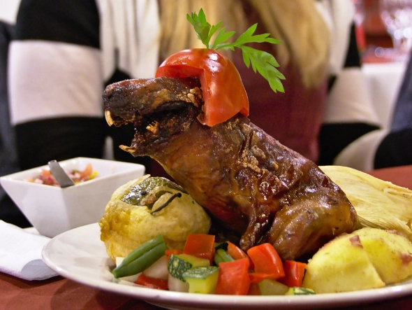 guinea pig food guinea pig food