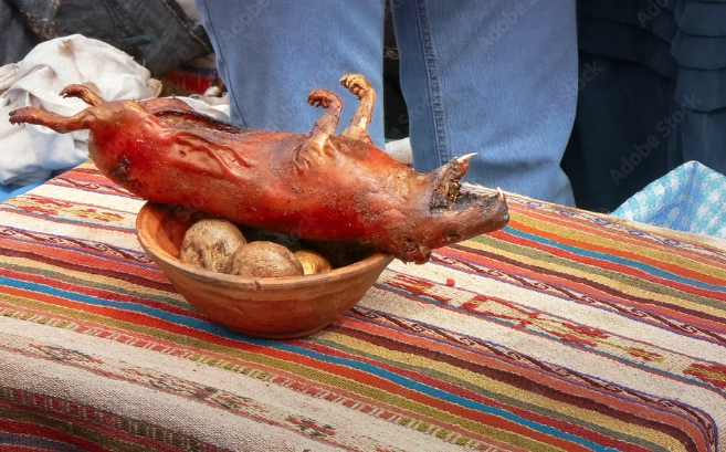 cuy chactado cuy chactado