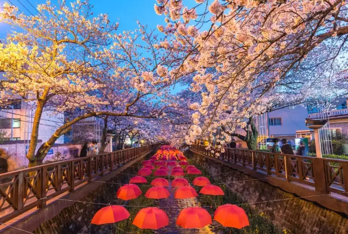 south korea travel guide south korea travel guide