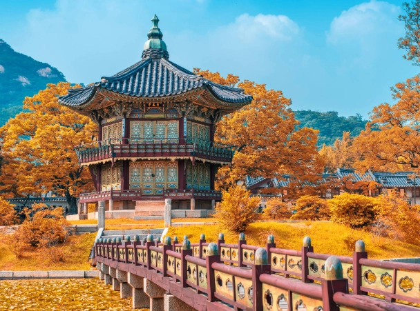 things to do in seoul things to do in seoul