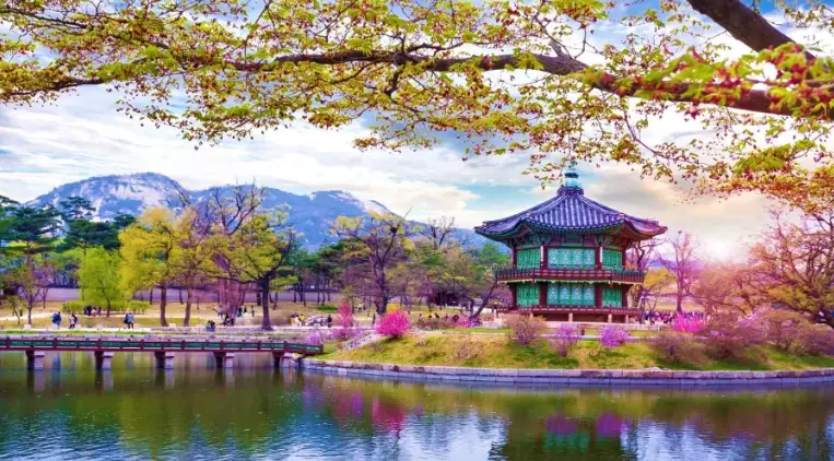 things to do in seoul things to do in seoul