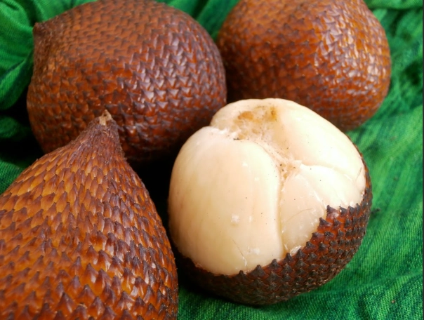 snake fruit taste