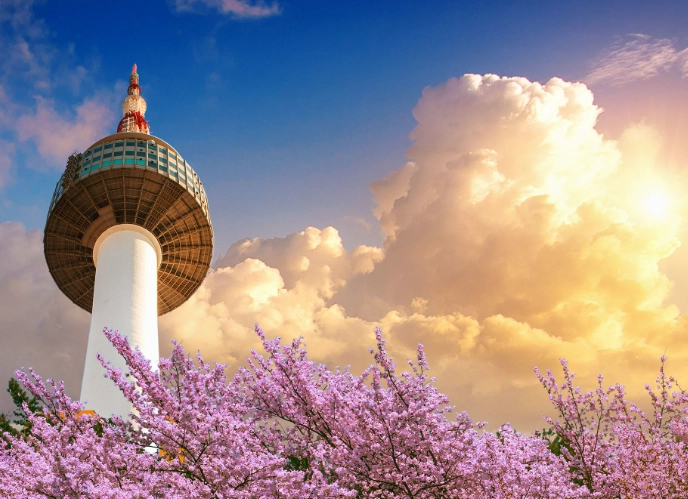 seoul travel guide seoul travel guide