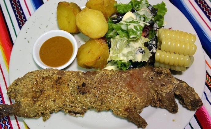 peruvian cuy dishes