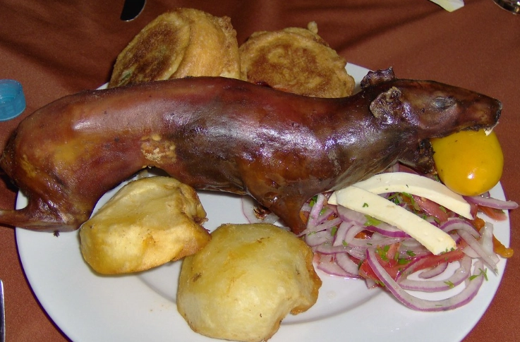 peruvian cuy dishes