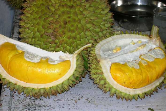 durian taste durian taste