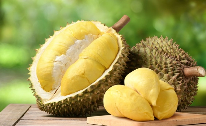 durian fruit durian fruit