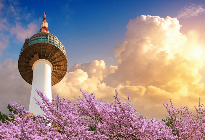 things to do in Seoul things to do in Seoul