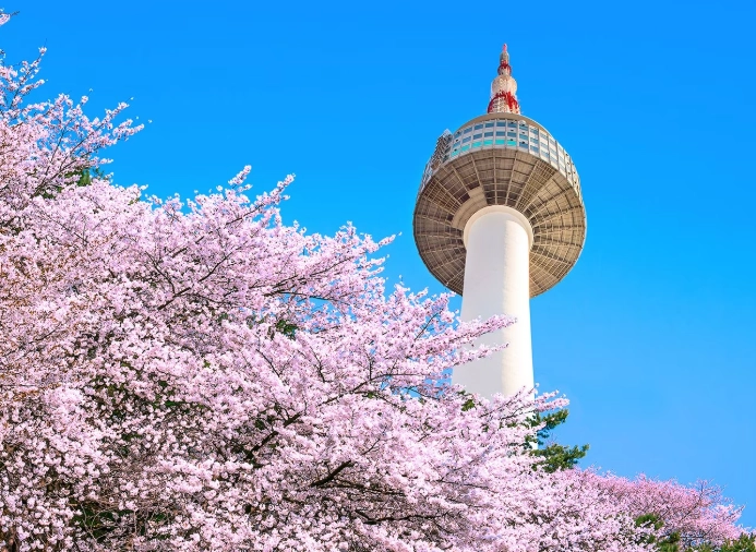 things to do in Seoul things to do in Seoul