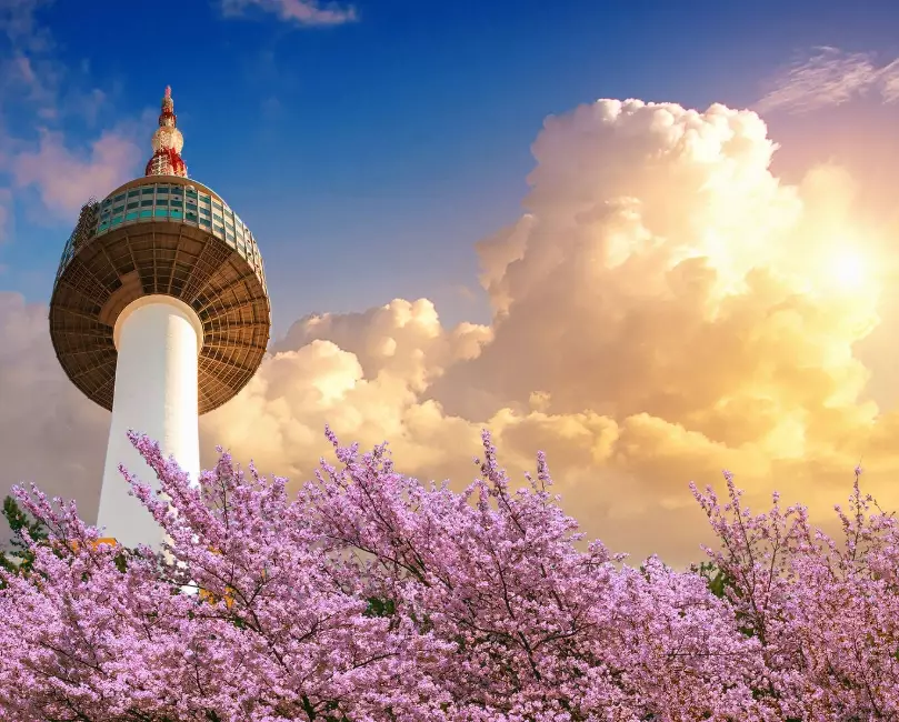 seoul travel guide seoul travel guide