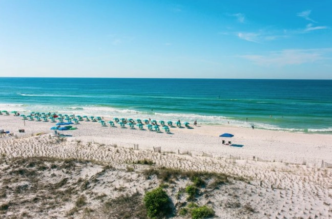 Florida travel guide Florida travel guide