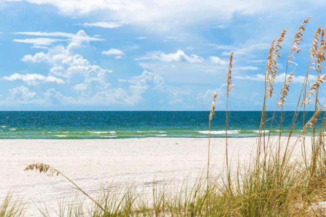 Florida travel guide Florida travel guide