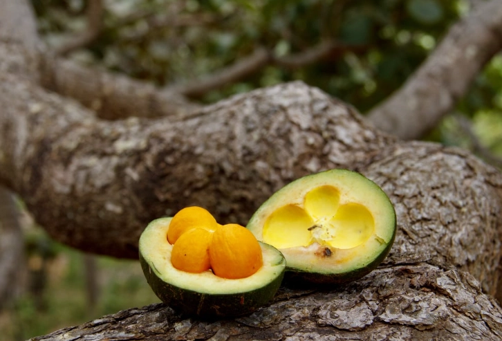 best street food in seoul best street food in seoul