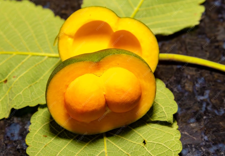 korean food tour korean food tour