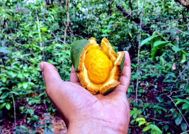 korean street food korean street food