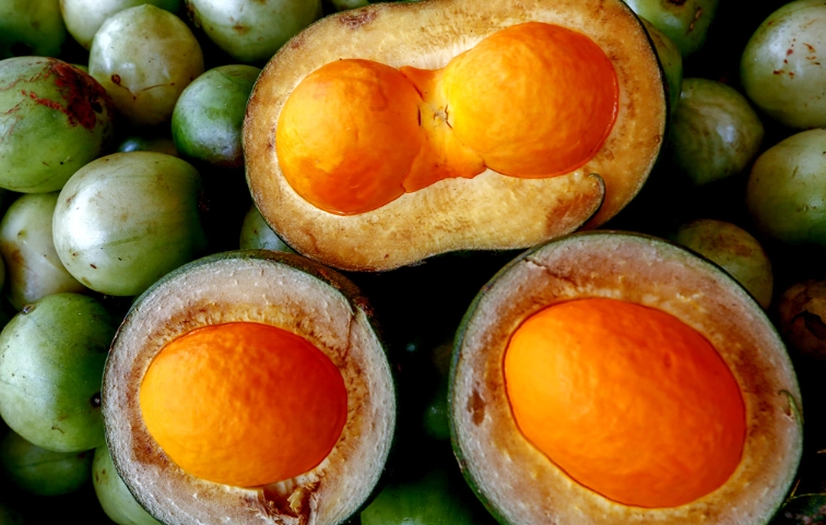 korean food tour korean food tour