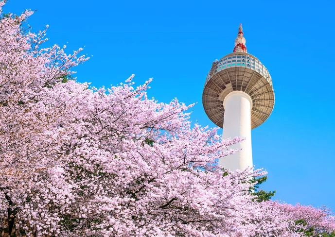 Seoul travel guide Seoul travel guide