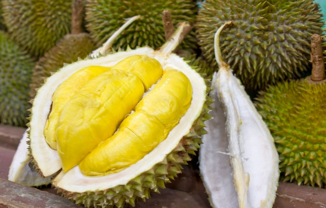 why does durian smell so bad why does durian smell so bad