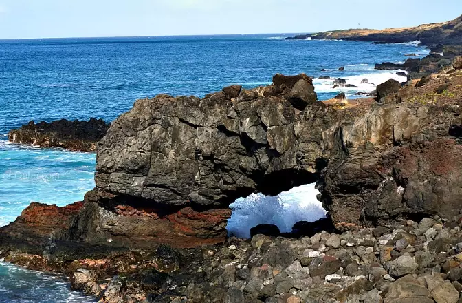 kaena point oahu kaena point oahu