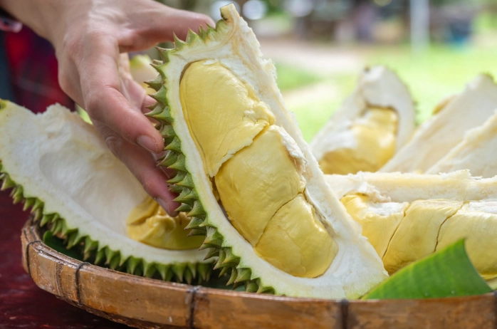 durian smell description durian smell description