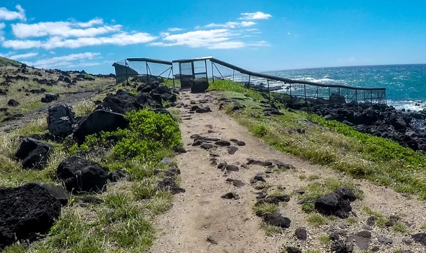 kaena point hike kaena point hike