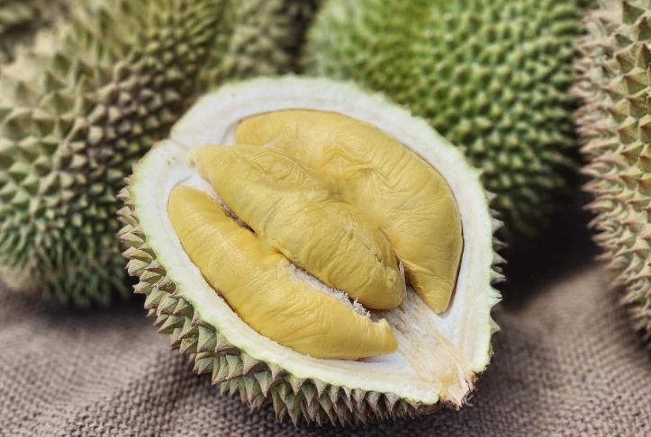 why does durian smell so bad why does durian smell so bad