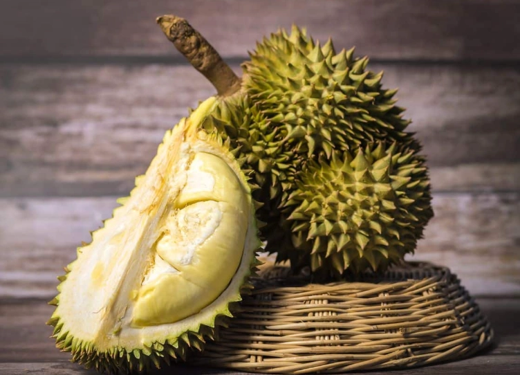 durian fruit durian fruit