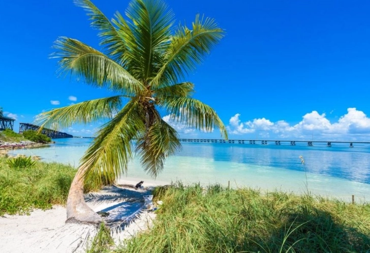 best time to visit Florida