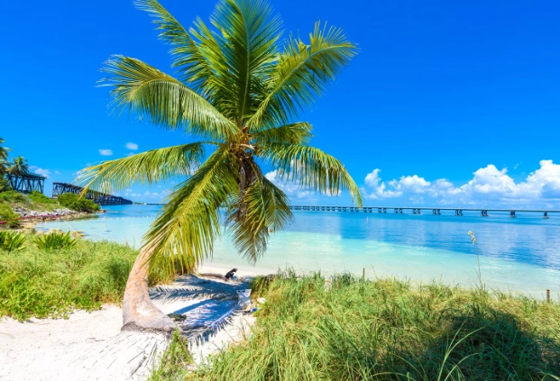 Florida travel guide