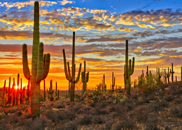 things to do Arizona