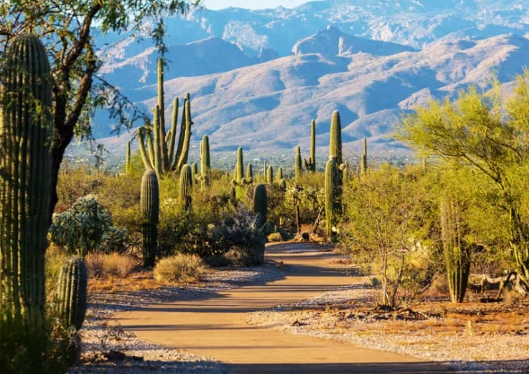 Arizona itinerary