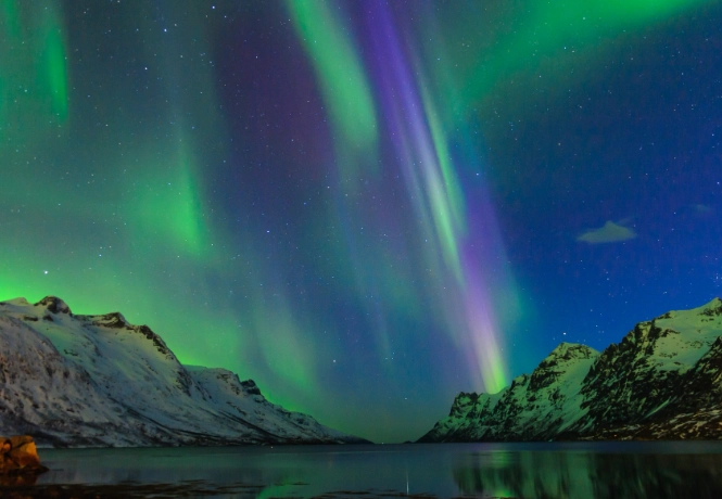 things to do in tromsø things to do in tromsø