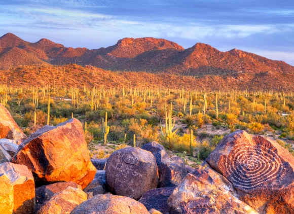 things to do Arizona