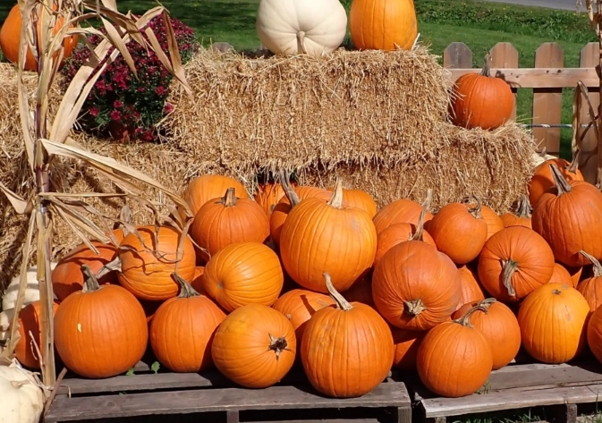 Niagara-on-the-Lake wineries Niagara-on-the-Lake wineries