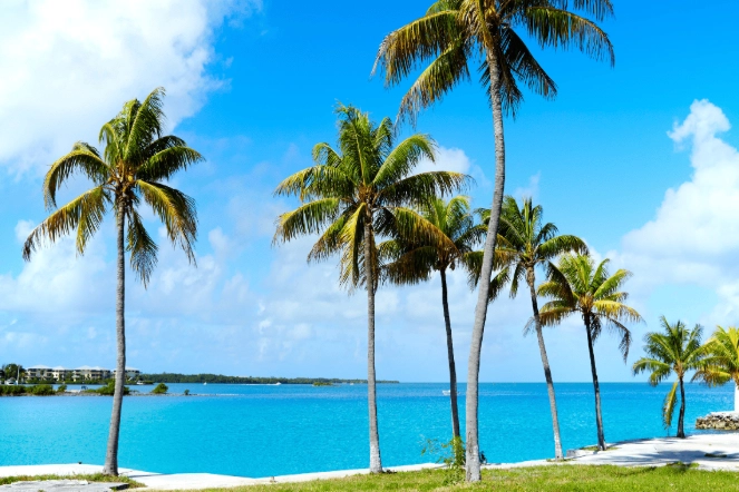 best Florida vacation spots