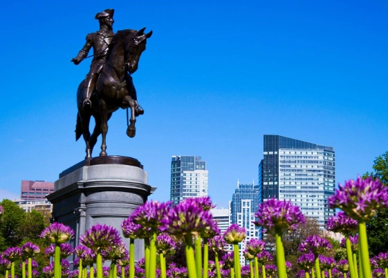 things to do in boston things to do in boston