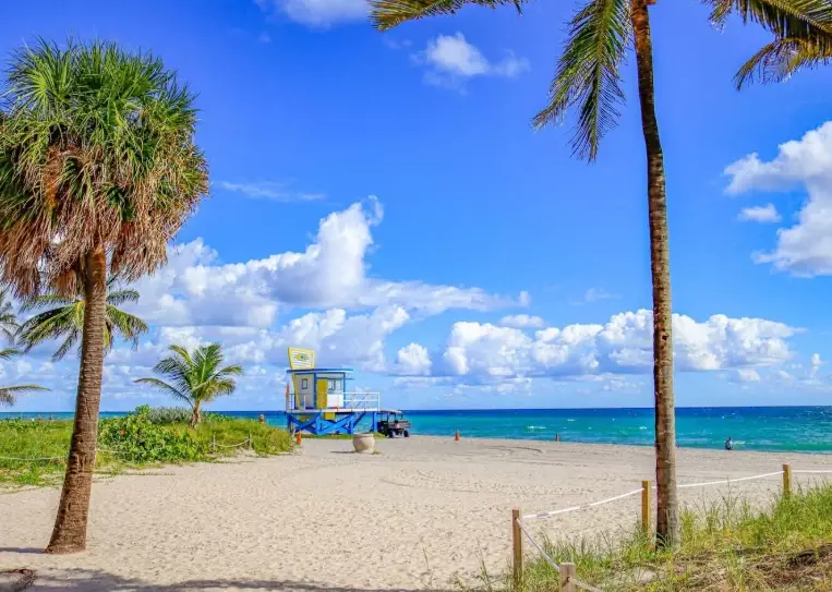 things to do in Florida