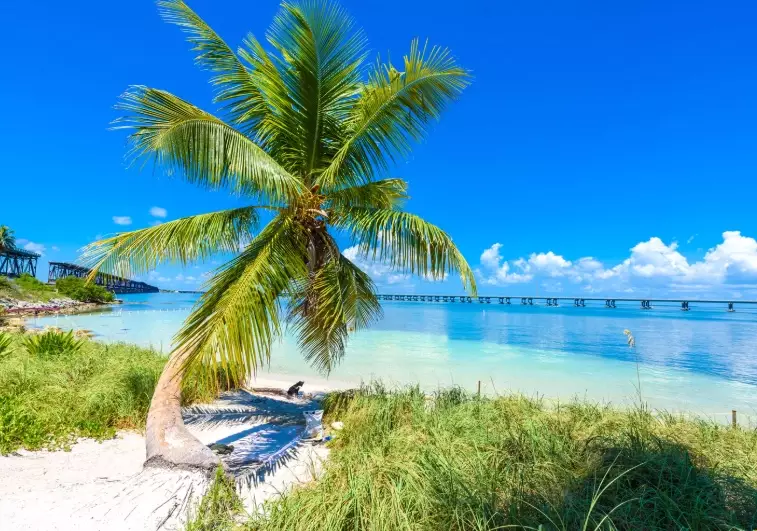 best places to vacation in Florida