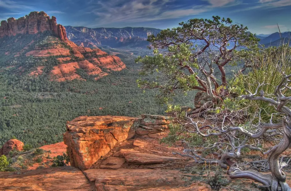 Arizona desert landscapes Arizona desert landscapes