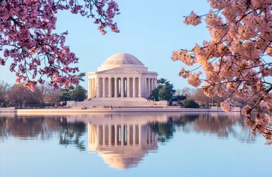 things to do in Washington DC things to do in Washington DC