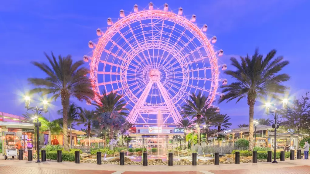 Florida vacation ideas