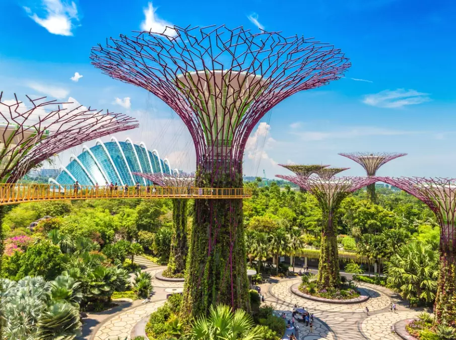 Singapore travel guide
